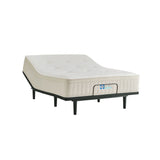 Sealy® Naturals™ Hybrid Medium Mattress, King Size -  Sealy - Luna Furniture