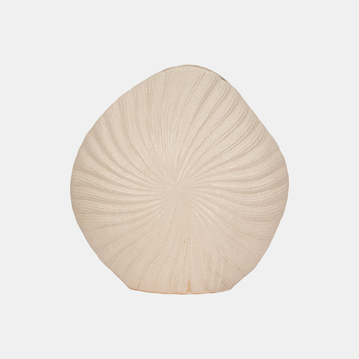 23" White Sand Shell Vase, White from Sagebrook Home - Luna Furniture