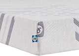 Sealy® Carrington Chase Murry Hill Foam Medium Tight Top Mattress, Twin XL Size -  Sealy - Luna Furniture