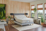 Sealy® Naturals™ Hybrid Medium Mattress, Split Cal. King Size -  Sealy - Luna Furniture