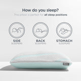 TEMPUR-Adapt® Pro + Cooling Pillow, Low Size Queen -  Tempur-Pedic - Luna Furniture