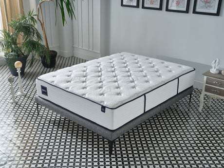 Balance Queen Firm Mattress from Bellona - Luna Furniture