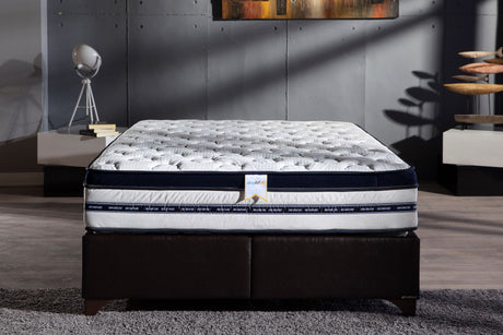 Biorythmic 13.5" Eurotop Extra Firm Queen Mattress from Bellona - Luna Furniture