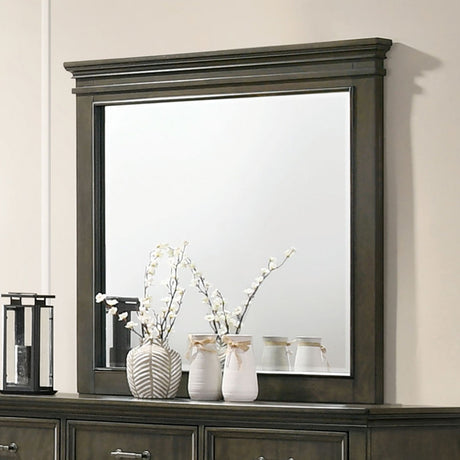 Houston Gray Mirror from Furniture of America - Luna Furniture