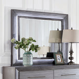 Raiden Gray Mirror from Furniture of America - Luna Furniture