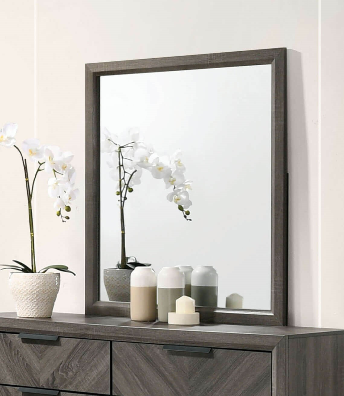 Vagan Gray Mirror from Furniture of America - Luna Furniture