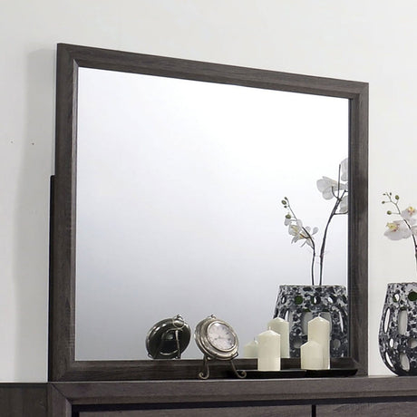 Conwy Gray Mirror from Furniture of America - Luna Furniture