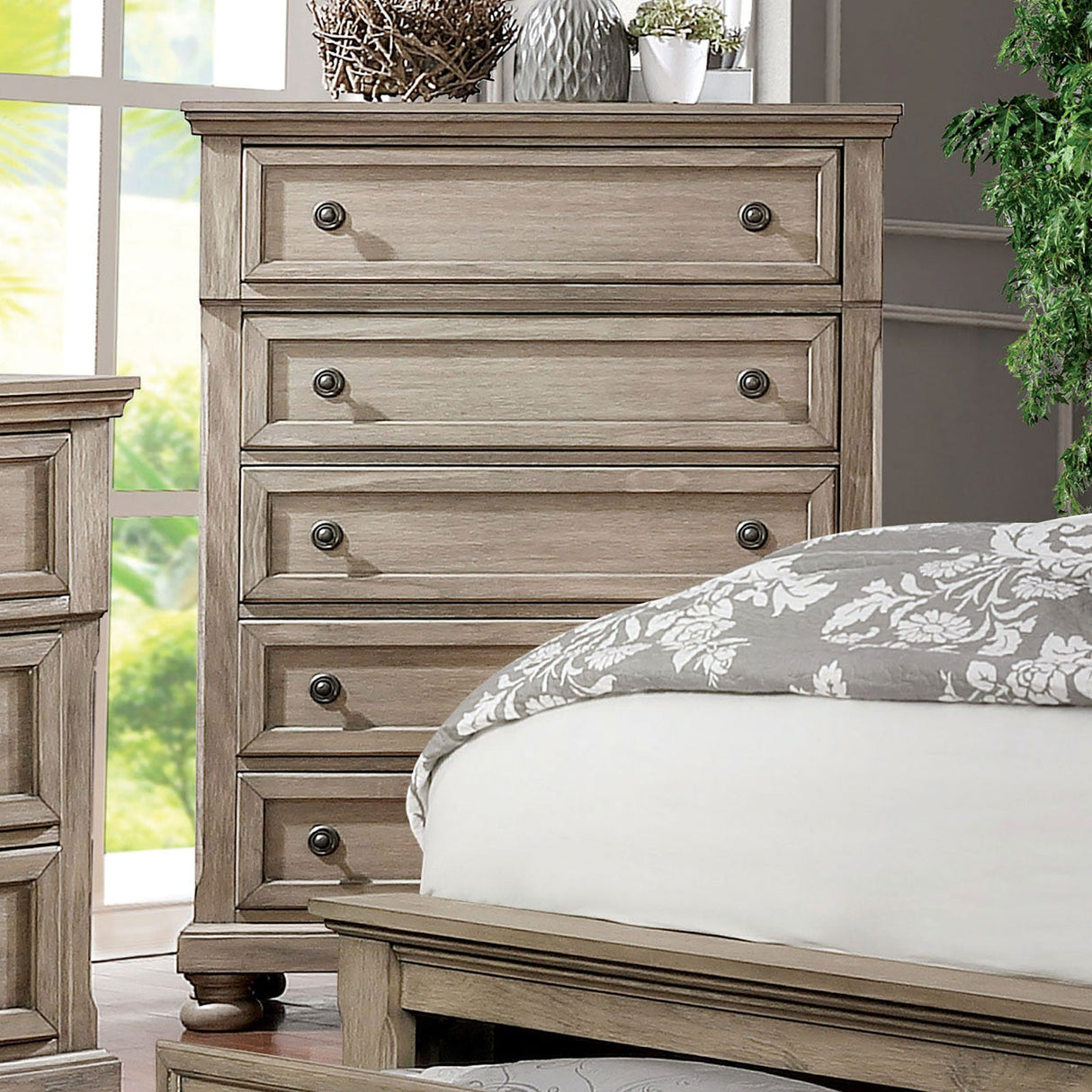 Wells Gray Chest from Furniture of America - Luna Furniture