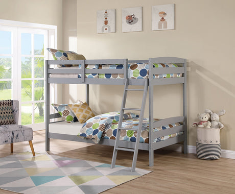 Candice Gray Twin/Twin Bunk Bed from Furniture of America - Luna Furniture