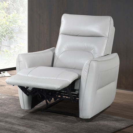 Terentius Taupe Power Recliner from Furniture of America - Luna Furniture