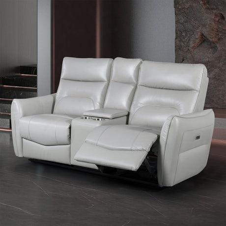 Terentius Taupe Power Loveseat from Furniture of America - Luna Furniture