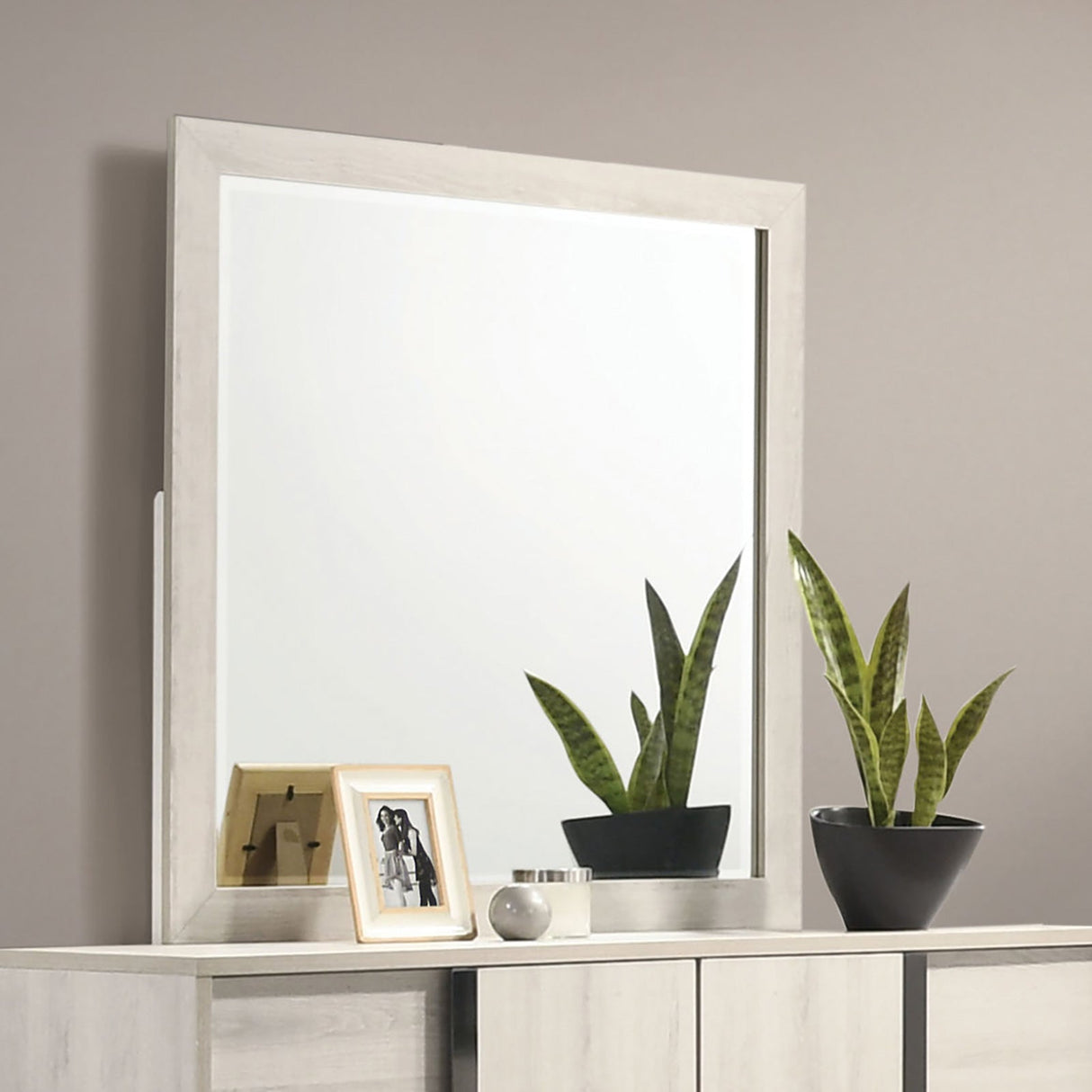 Horten White Wash Mirror from Furniture of America - Luna Furniture