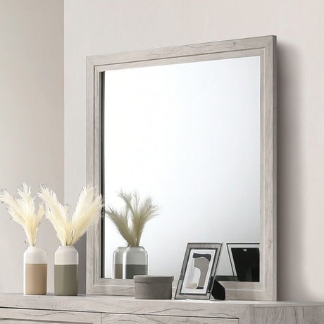 Mysen White Wash Mirror from Furniture of America - Luna Furniture