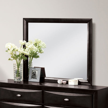 Zosimo Black Mirror from Furniture of America - Luna Furniture