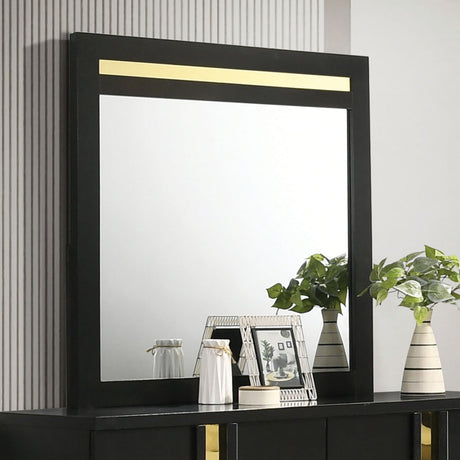 Lillestrom Black/Gold Mirror from Furniture of America - Luna Furniture