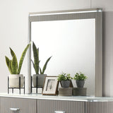 Aldridge Light Gray Mirror from Furniture of America - Luna Furniture