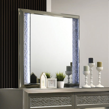 Leyland Dark Gray Mirror from Furniture of America - Luna Furniture