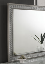 Cassiopeia Metallic Gray Rect Mirror from Furniture of America - Luna Furniture