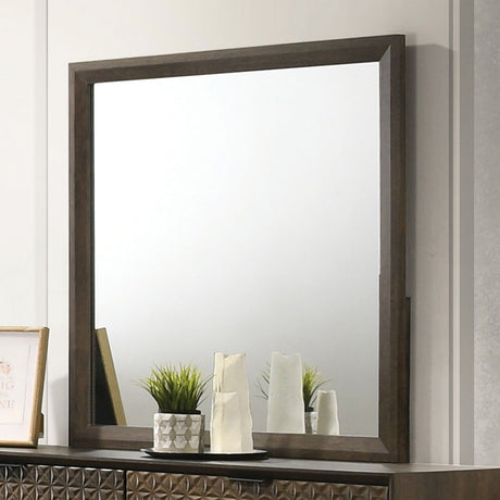 Chalfont Dark Brown Mirror from Furniture of America - Luna Furniture