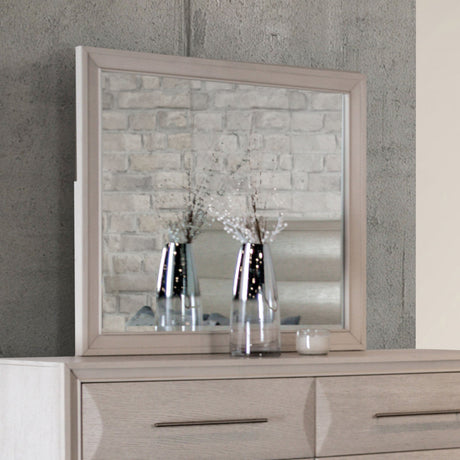 Hinwitz White Oak Mirror from Furniture of America - Luna Furniture