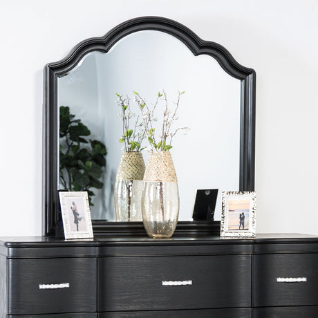 Melodi Parc Black Mirror from Furniture of America - Luna Furniture