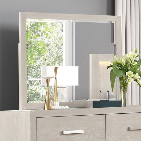 Wellingborough Light Gray Mirror from Furniture of America - Luna Furniture