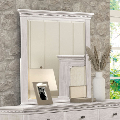 Swanley Weathered Gray Mirror from Furniture of America - Luna Furniture