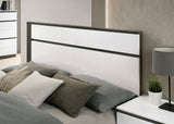 Birsfelden White/Metallic Gray Queen Bed from Furniture of America - Luna Furniture