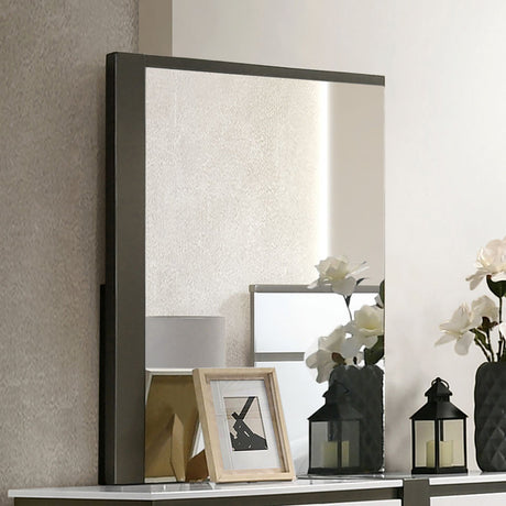 Birsfelden White/Metallic Gray Mirror from Furniture of America - Luna Furniture