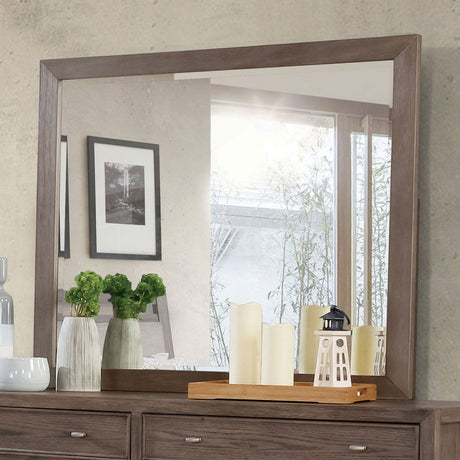 Tawana Warm Gray Mirror from Furniture of America - Luna Furniture