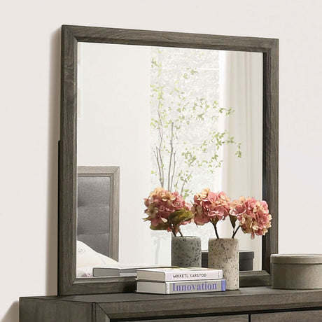 Roanne Gray Mirror from Furniture of America - Luna Furniture