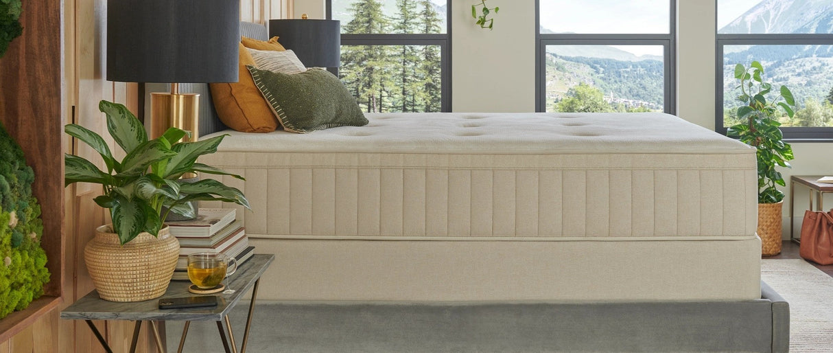 Sealy® Naturals™ Hybrid Firm Mattress, Twin XL Size from Sealy - Luna Furniture