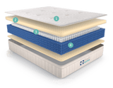 Sealy® Naturals™ Hybrid Firm Mattress, Twin XL Size -  Sealy - Luna Furniture