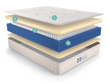 Sealy® Naturals™ Hybrid Firm Mattress, Twin XL Size -  Sealy - Luna Furniture