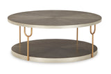 Ranoka Platinum Coffee Table and 2 End Tables from Ashley - Luna Furniture