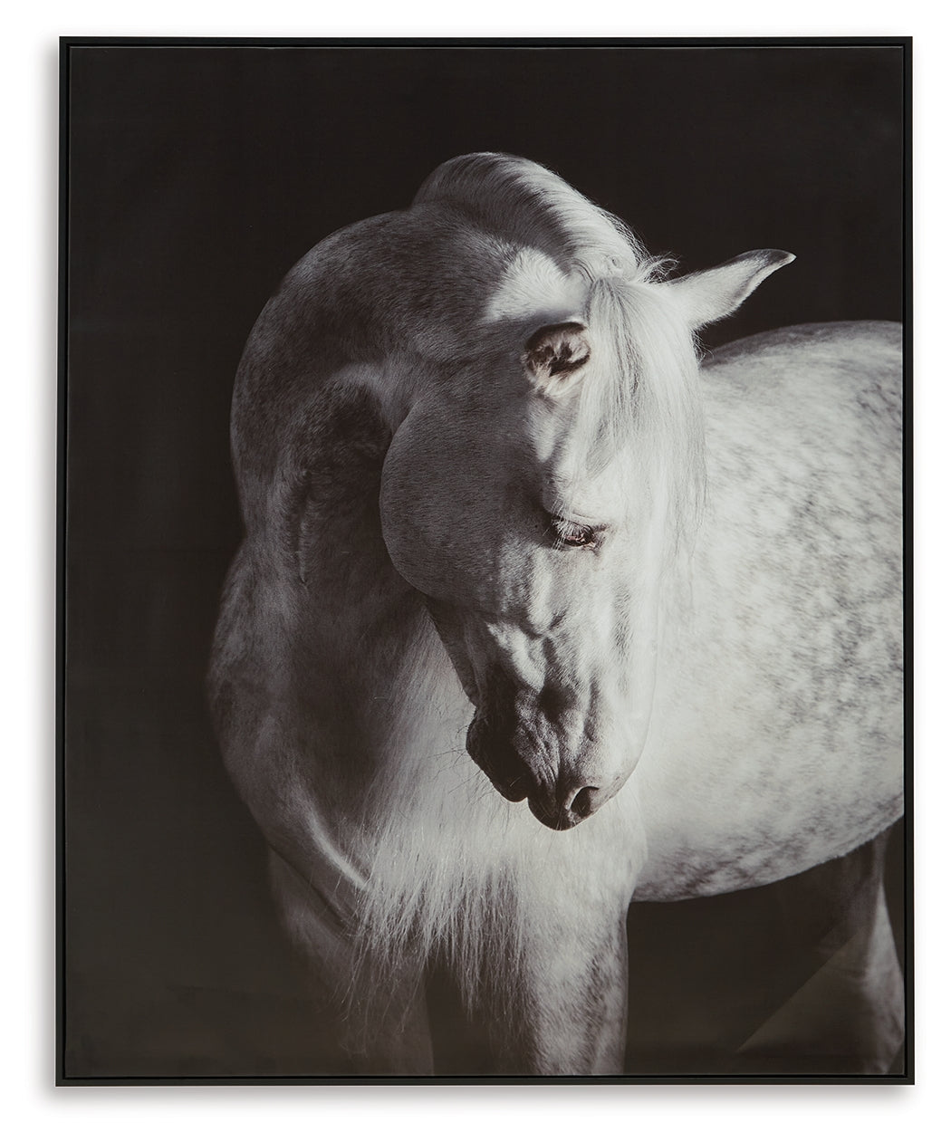 Archerwick Black/White Wall Art - A8000409