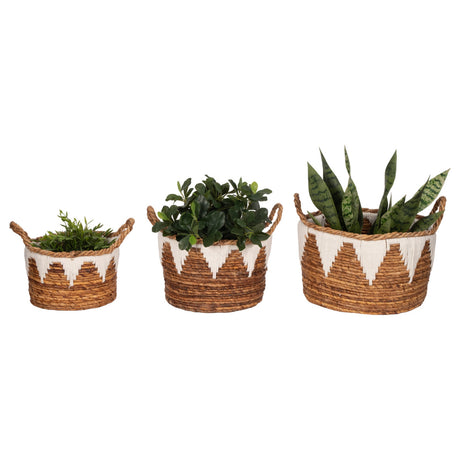 Banana Leaf, S/3 10/12/14" Nomad Basket, Natural from Sagebrook Home - Luna Furniture