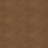 Bolsena Sofa and Loveseat in Caramel - PKG015456