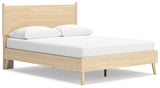 Cabinella Queen Platform Panel Bed with Dresser, Chest and Nightstand in Tan - PKG017302