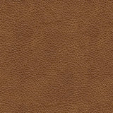 Carianna Chair and Ottoman in Caramel - PKG015491