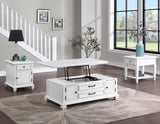 Charlestown Storage End Table - CT100ES