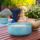 Citronella Candle / Planter 10" Sky 67oz from Sagebrook Home - Luna Furniture