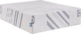 Sealy® Carrington Chase Murry Hill Foam Medium Tight Top Mattress, Twin XL Size -  Sealy - Luna Furniture