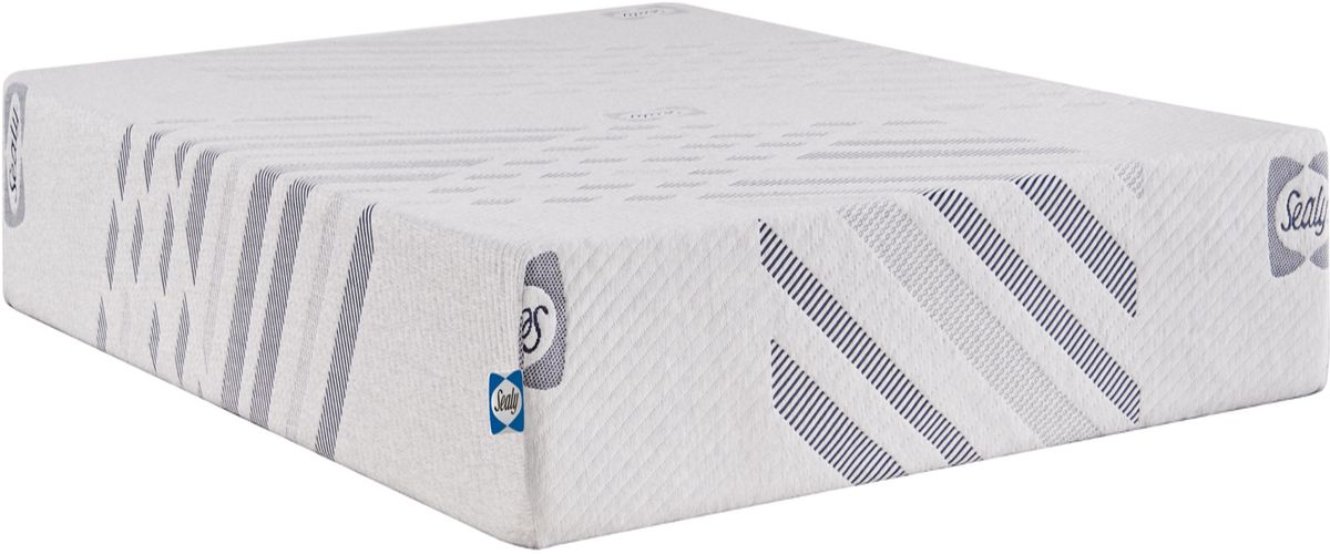 Sealy® Carrington Chase Murry Hill Foam Medium Tight Top Mattress, Queen Size -  Sealy - Luna Furniture