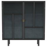 Dalia 2-door Accent Storage Cabinet with Shelving Black - 950385