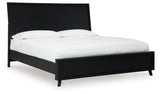 Danziar King Panel Bed with Mirrored Dresser and Nightstand in Black - PKG015916