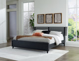 Danziar Queen Panel Bed with Mirrored Dresser and 2 Nightstands in Black from Ashley - Luna Furniture