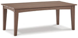 Emmeline Outdoor Coffee Table with 2 End Tables in Brown - PKG013850