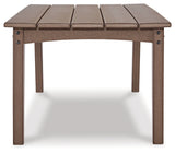 Emmeline Outdoor Coffee Table with 2 End Tables in Brown - PKG013850