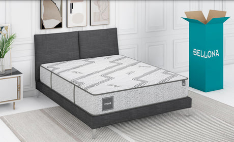 Evolve Queen Mattress-Antiaging - 65-EVO-15220-00-0